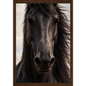 "Corcel Negro face" Quadro tradicional sem vidro acrílico