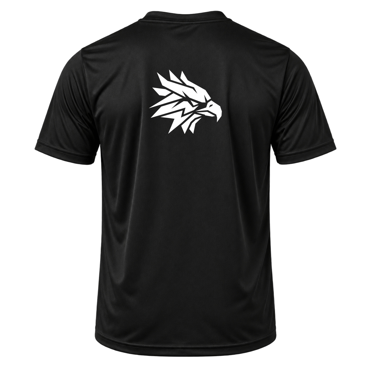 "TeamTruth - DryFit Masculino" Camiseta Dryfit Masculina Basic
