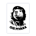 "Che Pivara" Poster