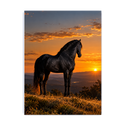 "Lendário Por do Sol" Poster