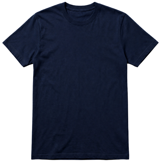 "Camisa lisa regular Basic" Camiseta Regular 100% Algodão Penteado LISO