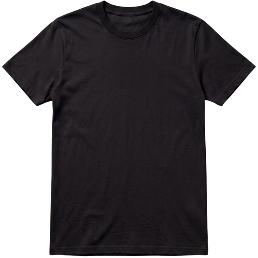 "Camisa lisa regular Basic" Camiseta Regular 100% Algodão Penteado LISO