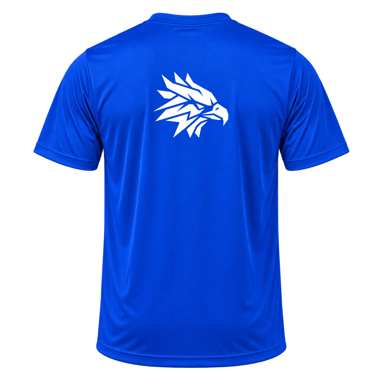 "TeamTruth - DryFit Masculino" Camiseta Dryfit Masculina Basic