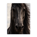 "Corcel Negro face" Placa decorativa