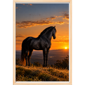 "Lendário Por do Sol" Quadro caixa sem vidro acrílico