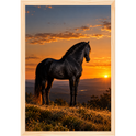 "Lendário Por do Sol" Quadro tradicional sem vidro acrílico