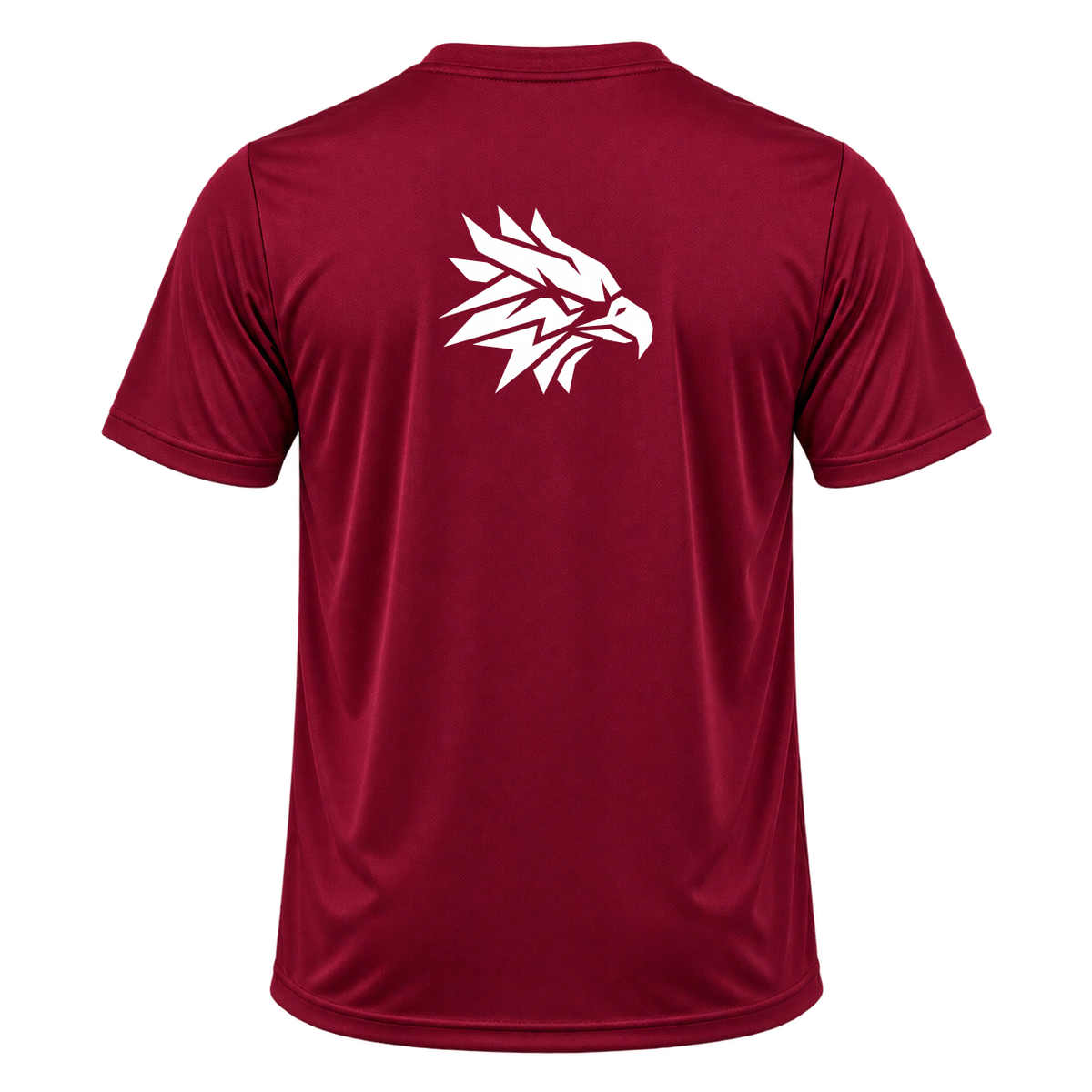 "TeamTruth - DryFit Masculino" Camiseta Dryfit Masculina Basic