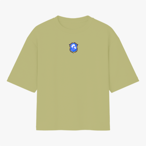 Camiseta com estampa frontal de brasão estilizado e estampa traseira de rosto tribal com "Brasil de Axé" acima e o número "777" em destaque.