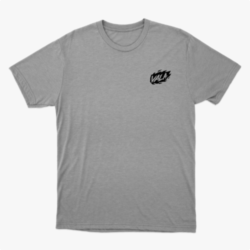 Camiseta com estampa frontal de logotipo estilizado "VALA" e estampa traseira com texto em negrito "NO PLACE FOR" seguido de palavras contra discriminação e ódio.