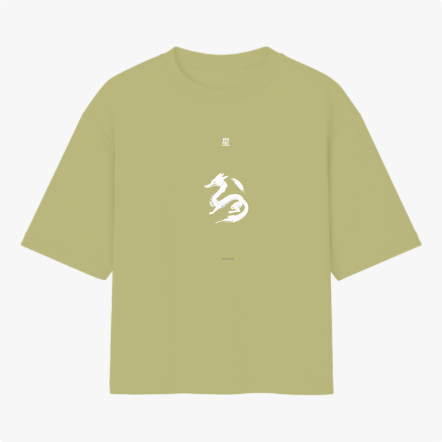 Camiseta com estampa frontal de dragão estilizado em posição sinuosa, acompanhado de caracteres orientais acima e pequenos detalhes textuais abaixo.