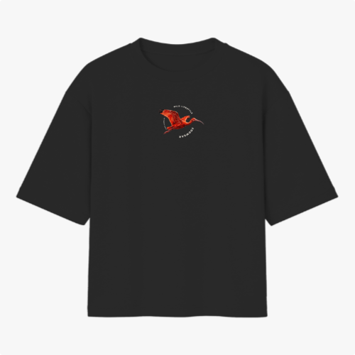 Camiseta com estampa frontal de ave em voo rodeada por texto discreto e estampa traseira de ave vermelha em destaque com texto de estilo moderno.
