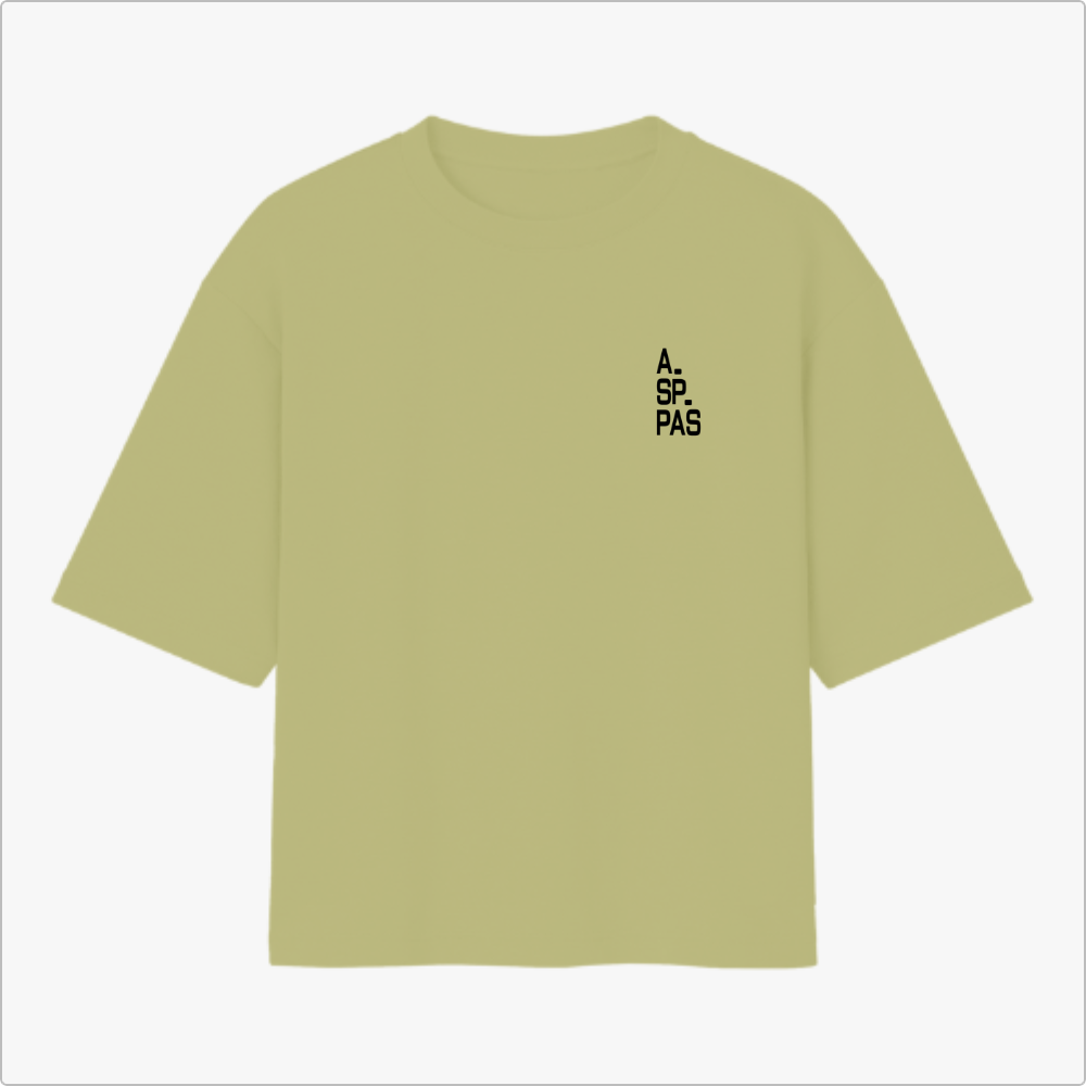 Camiseta com estampa frontal de texto "A.SP.PAS" verticalmente e estampa traseira de mapa contornado com "1554" centralizado e "SÃO PAULO" abaixo.