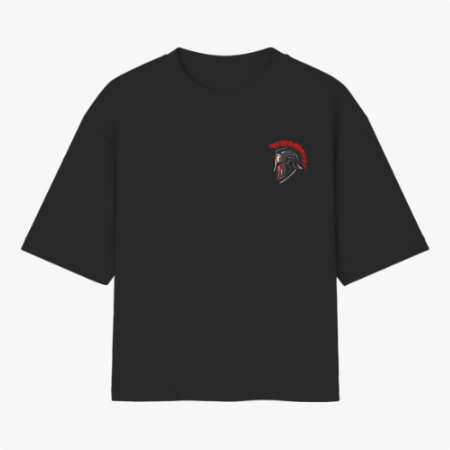 Camiseta com estampa frontal de capacete espartano com crista. Estampa traseira maior de capacete espartano, com texto "SPARTAN SPIRIT".