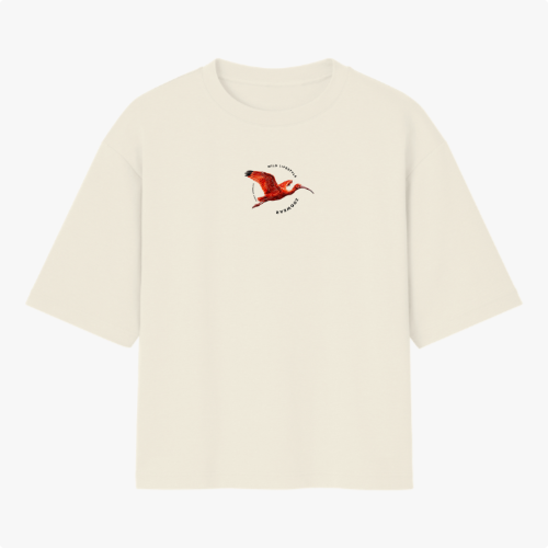 Camiseta com estampa frontal de pássaro em voo com texto curvo e estampa traseira de pássaro em voo acima de frases em destaque, incluindo "GUARA VERMELHO".