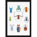 Quadro com estampa frontal de nove insetos estilizados, cada um com padrões geométricos e combinações de cores vibrantes, organizados em três linhas.