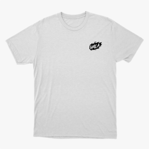 Camiseta com estampa frontal de logotipo estilizado "VALA" e estampa traseira com texto em negrito "NO PLACE FOR" seguido de palavras contra discriminação e ódio.