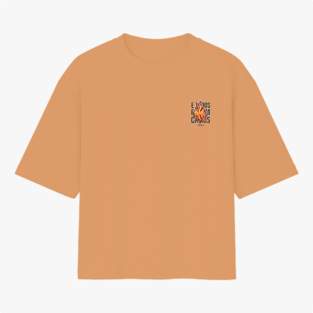 Camiseta com estampa frontal de um desenho de fogo cercado pelas palavras "eu dos fúria chaos" e estampa traseira com a palavra "vigia".
