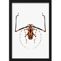 Quadro com estampa frontal de besouro estilizado, exibindo intricados padrões abstratos no corpo e membros alongados em tons contrastantes.