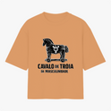 Camiseta com estampa frontal de cavalo de Tróia com símbolo masculino e texto "CAVALO DE TRÓIA DA MASCULINIDADE" e estampa traseira de logotipo circular.