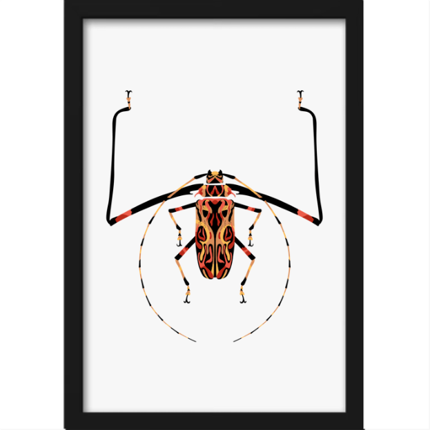 Quadro com estampa de inseto detalhado, simétrico, destacando suas longas antenas e padrões geométricos intricados sobre o corpo e as pernas.