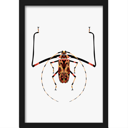 Quadro com estampa de inseto detalhado, simétrico, destacando suas longas antenas e padrões geométricos intricados sobre o corpo e as pernas.