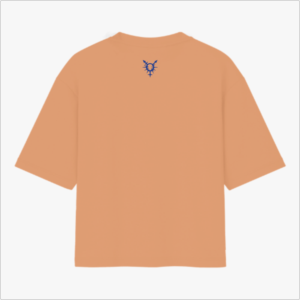 Camiseta com estampa frontal de pássaro estilizado, frases sobre masculinidades, "SÃO TRANSCESTRAIS" e "BRASIL - BAHIA"; estampa traseira de símbolo tribal.