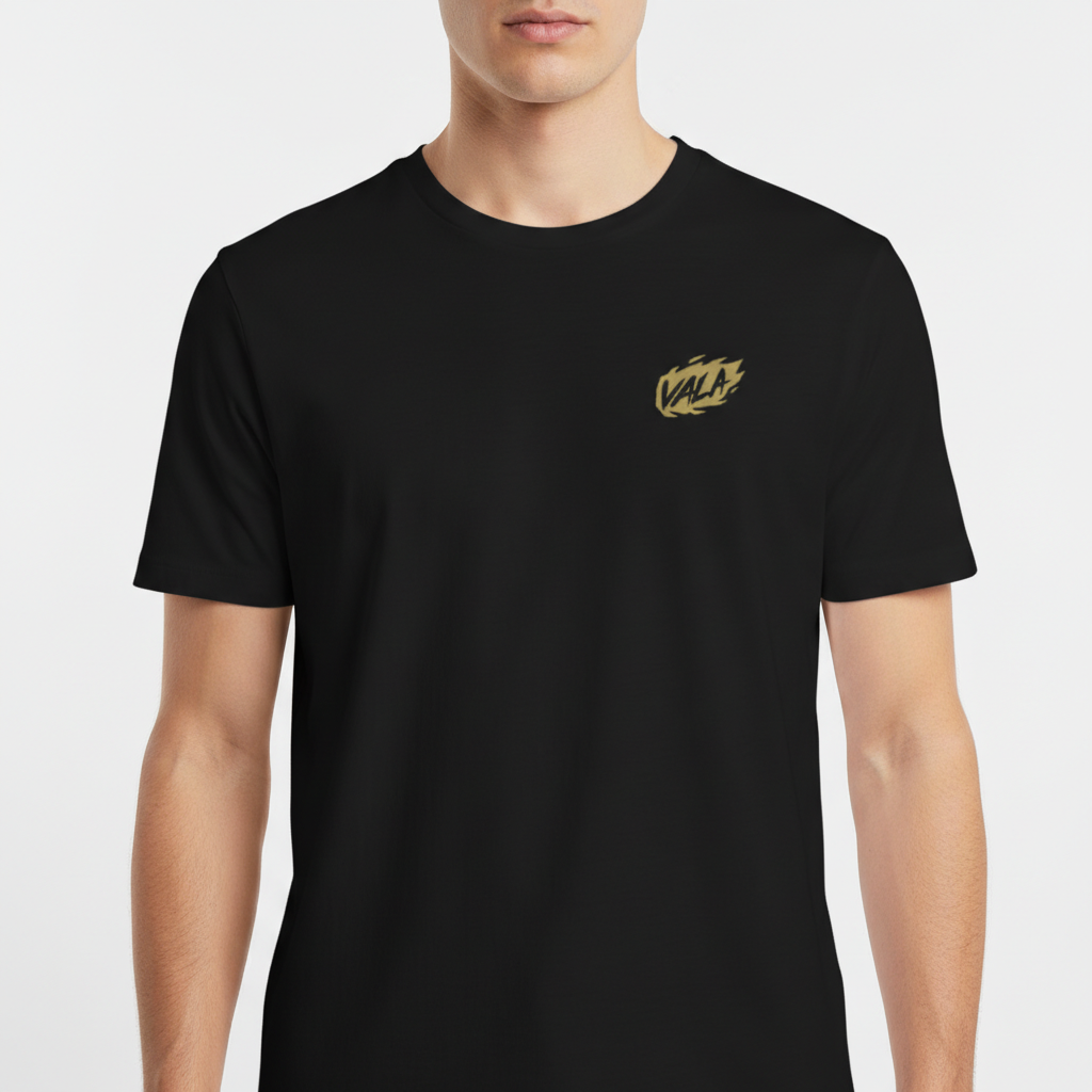 Camiseta com estampa frontal de logotipo estilizado "VALA" e estampa traseira com texto em negrito "NO PLACE FOR" seguido de palavras contra discriminação e ódio.
