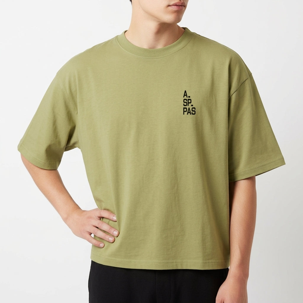 Camiseta com estampa frontal de texto "A.SP.PAS" verticalmente e estampa traseira de mapa contornado com "1554" centralizado e "SÃO PAULO" abaixo.