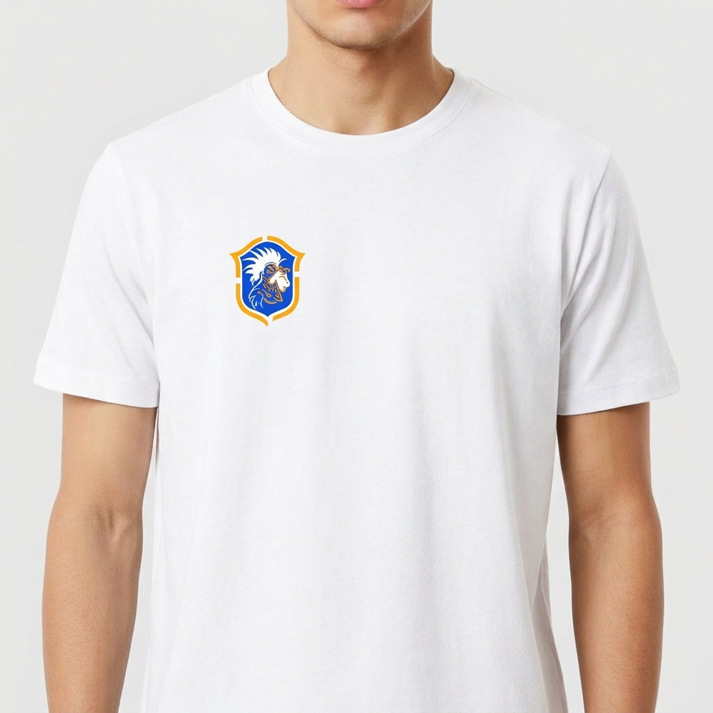 Camiseta com estampa frontal de brasão detalhado e estampa traseira de "Brasil de Axé" com números "777" estilizados sobre imagem difusa de elementos culturais.